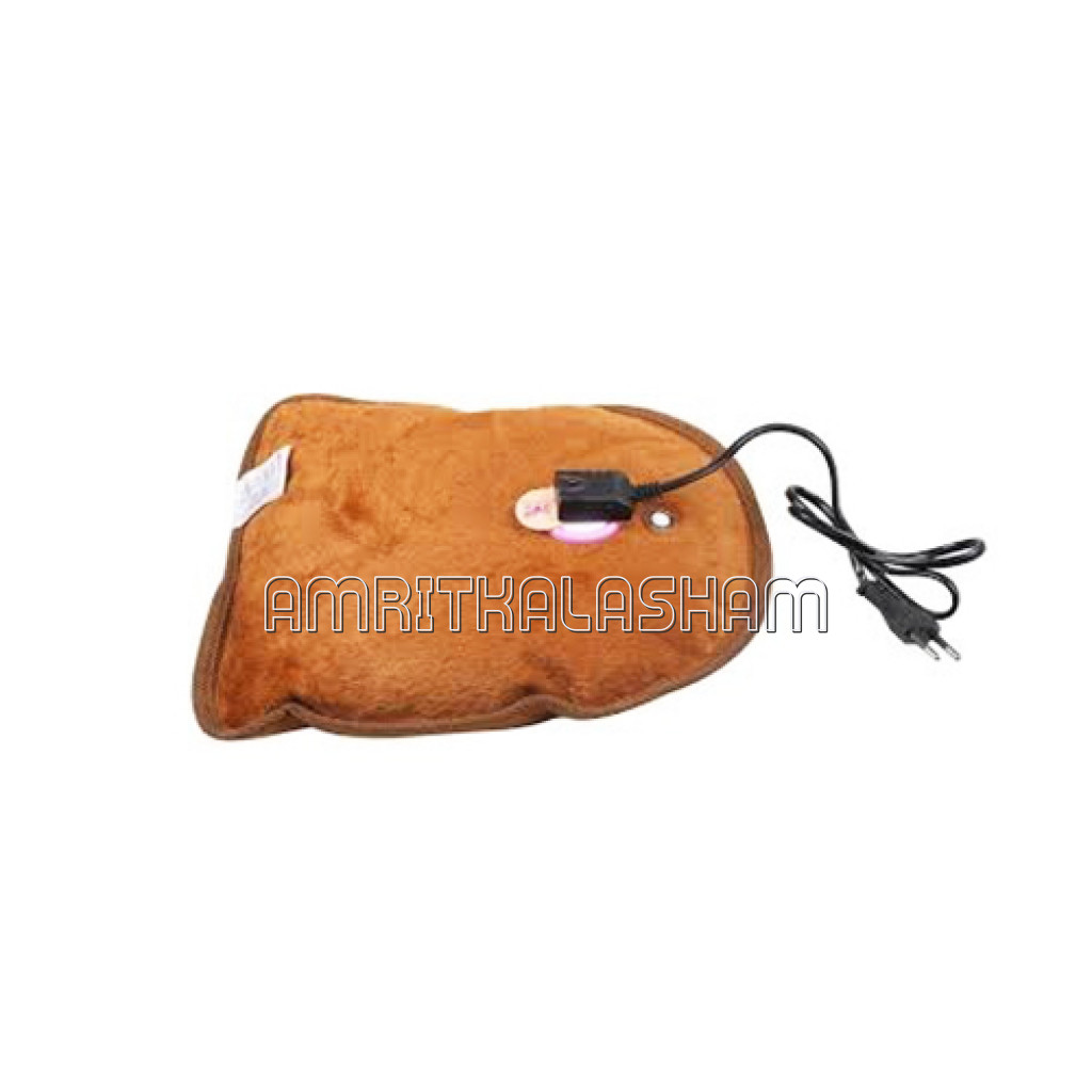 Electric Warmer Bag