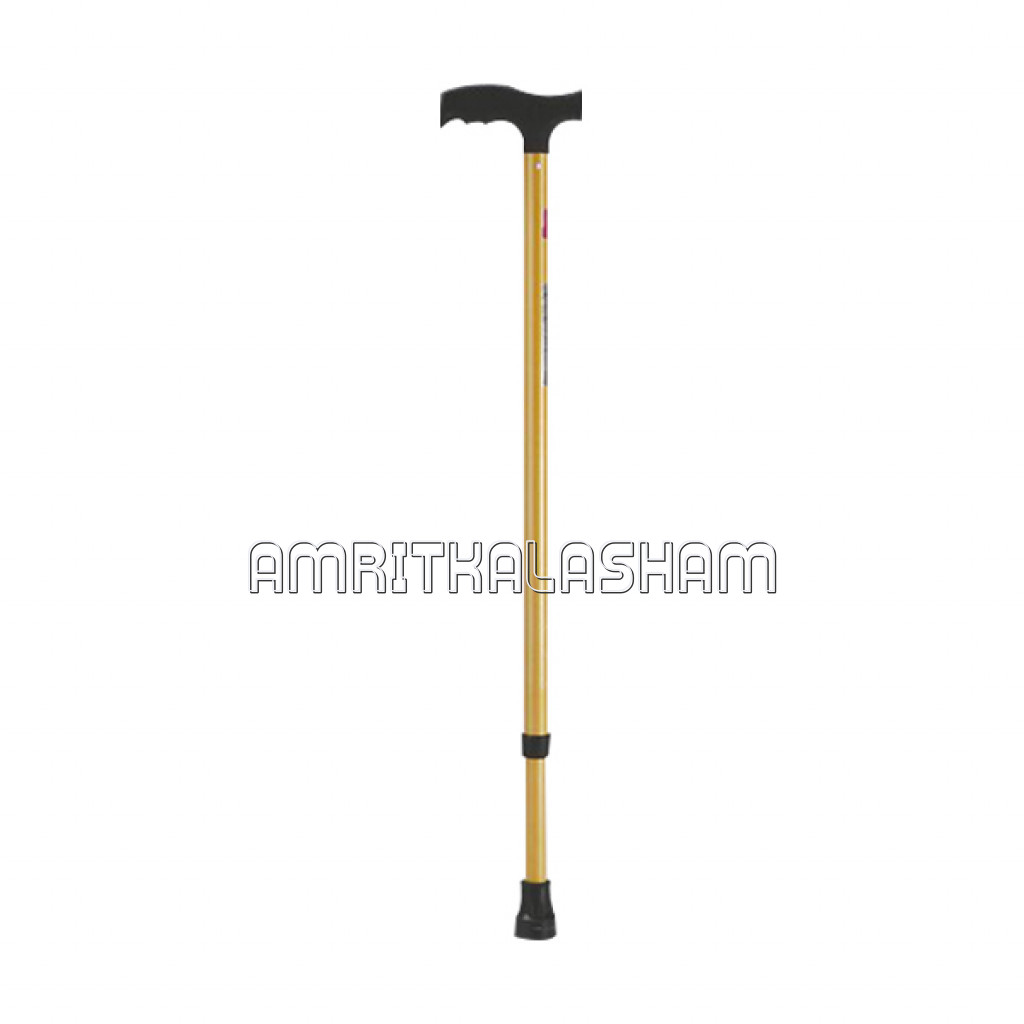 Walking Stick