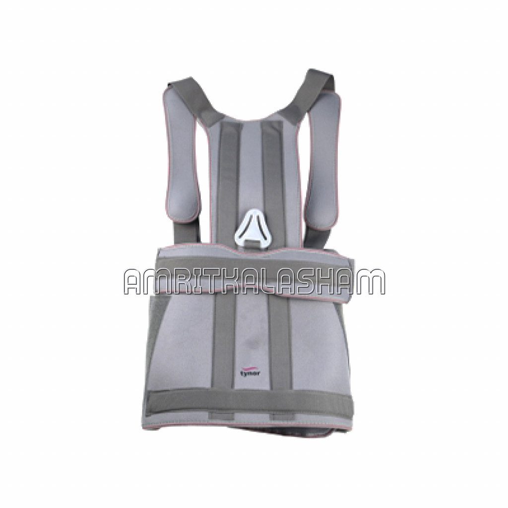 Taylor’S Brace Short / Long