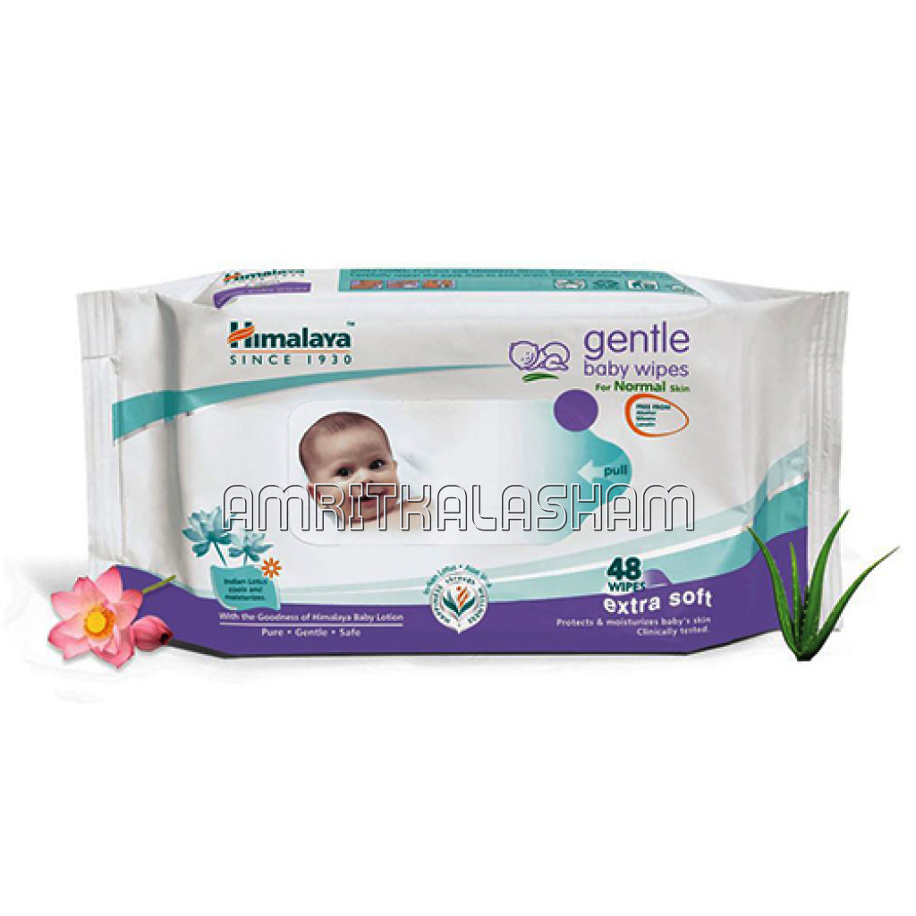 Gentle Baby Wipes (48)