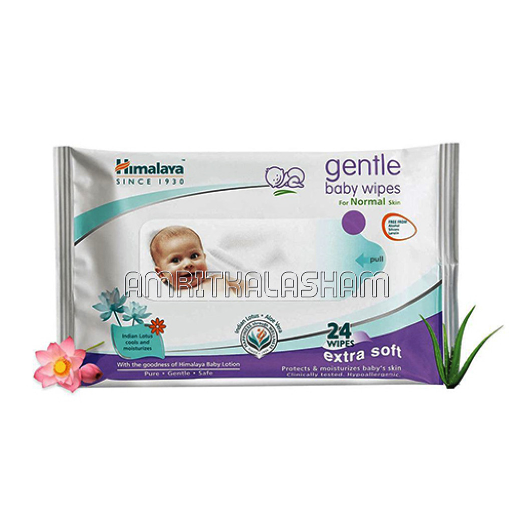 Gentle Baby Wipes (24)