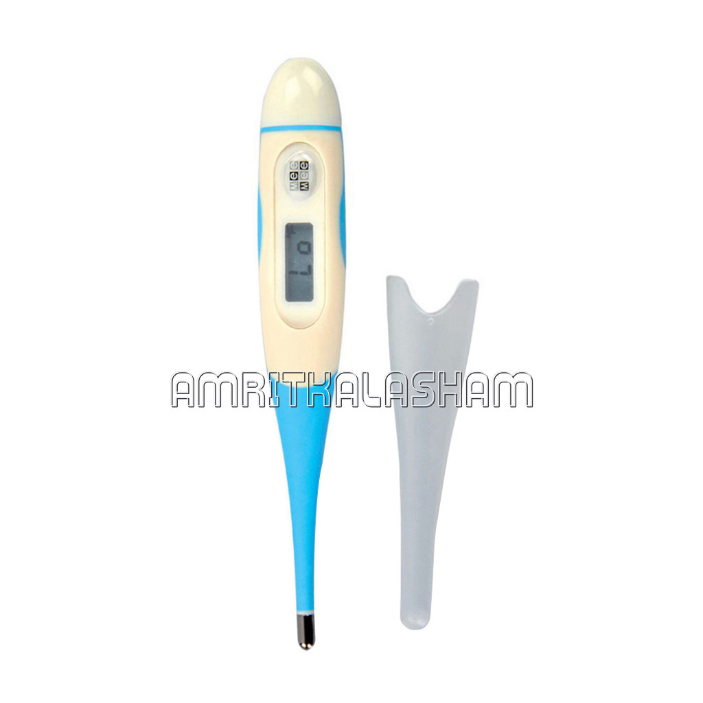 Blue Digital Thermometer