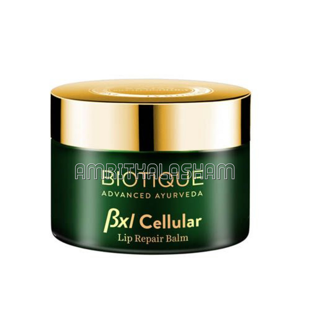Bio Bxl Repair Lip Balm 15Gm