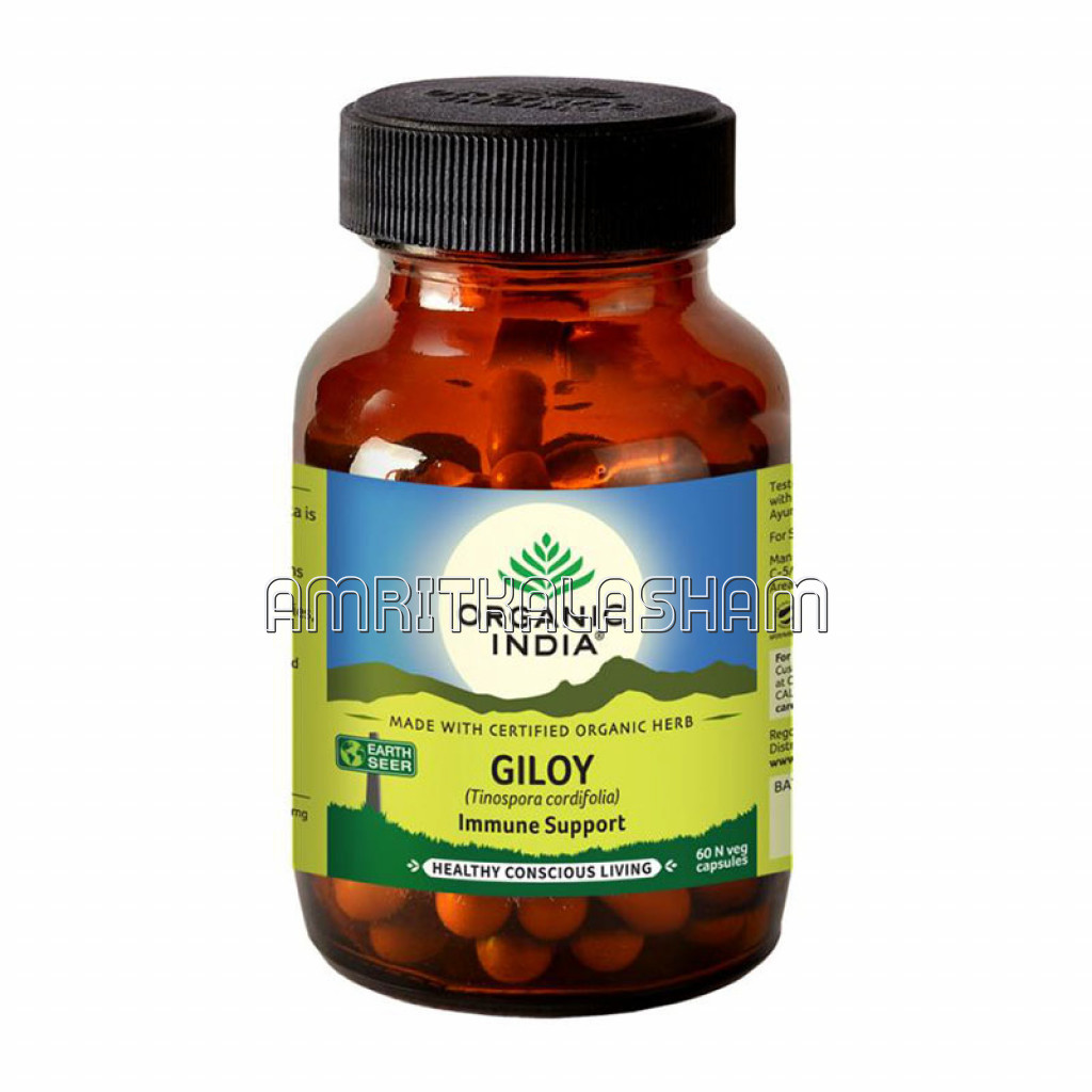 Giloy 60 Capsules Bottle , 60N