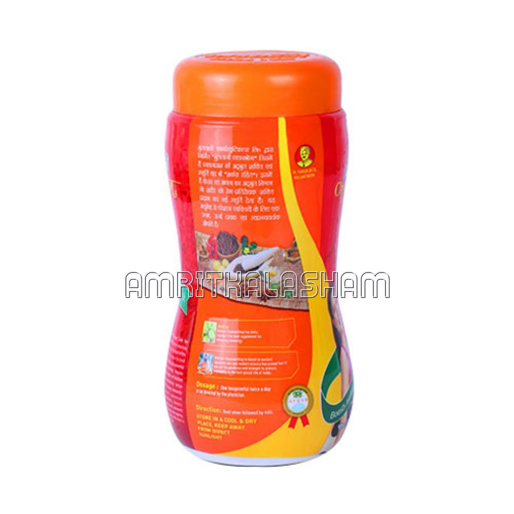 Chyawan Bhog (No Added Sugar) 500Gm