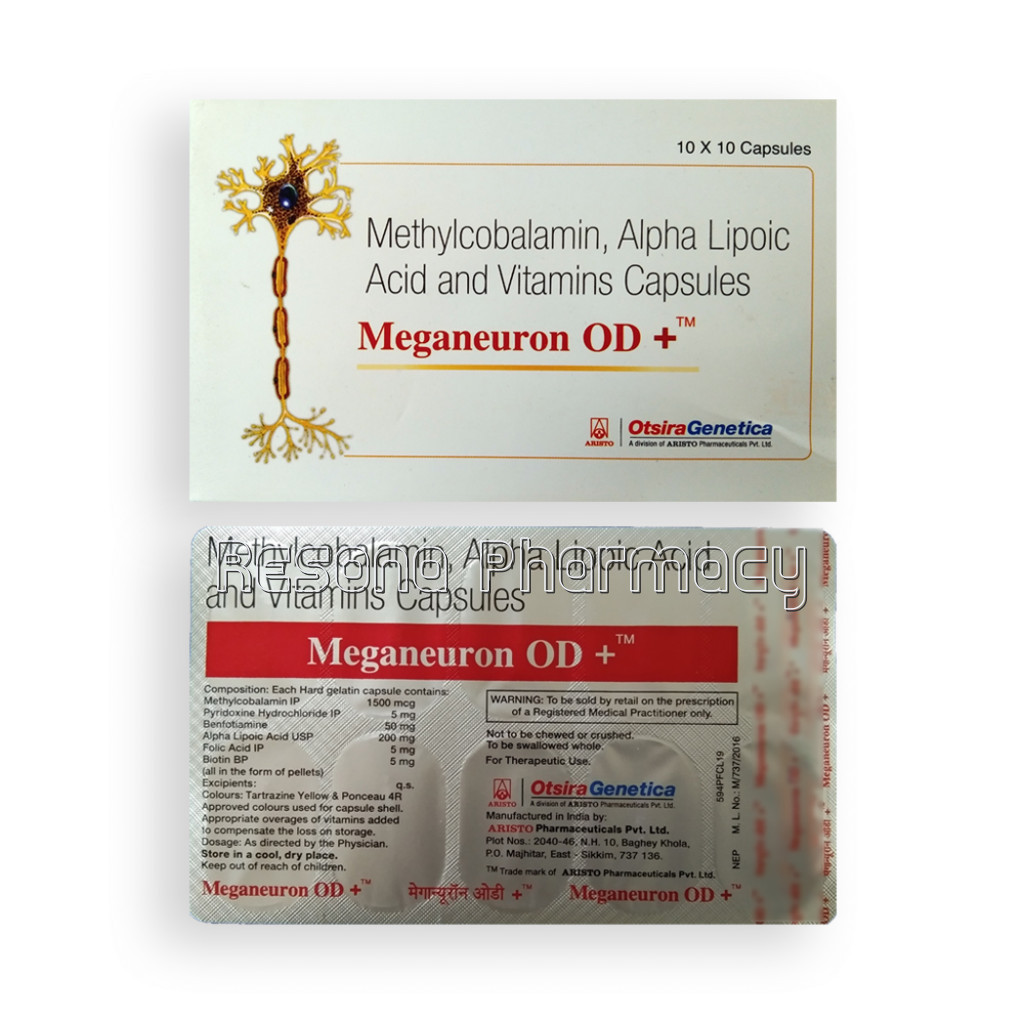 Meganeuron Odplus