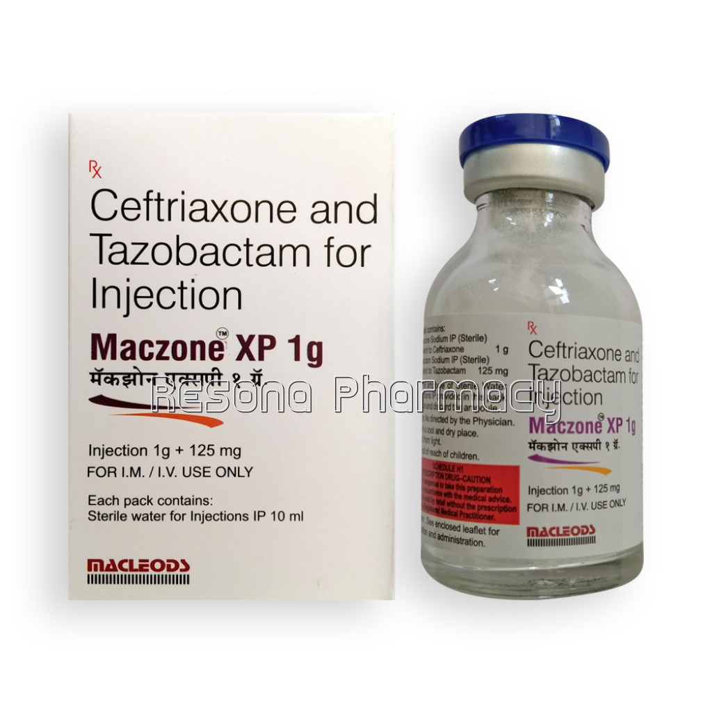 Maczone Xp 1G