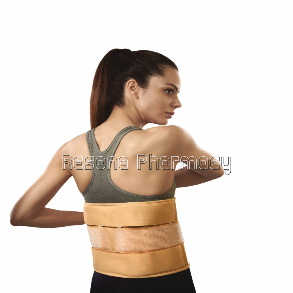 Deluxe Frame Back Support