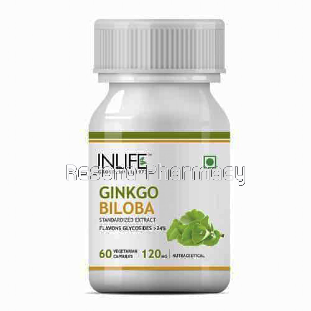 Inlife Ginkgo Biloba Supplement, 120Mg – 60 Vegetarian Capsules