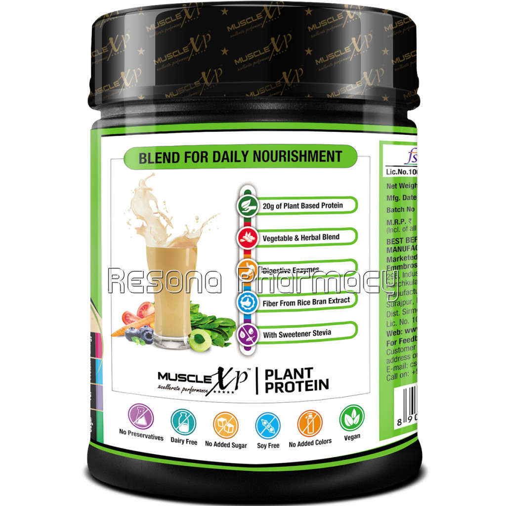Plant Protein – NaNaturalProtein Powder With Herbal And Vegetable Blend, 400G