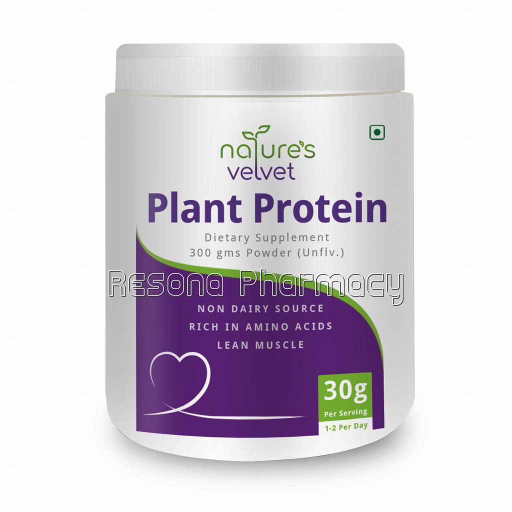 Plant Based Protein Powder   100% Vegan   Rich In Bcaas
300Gms Pack Of 1