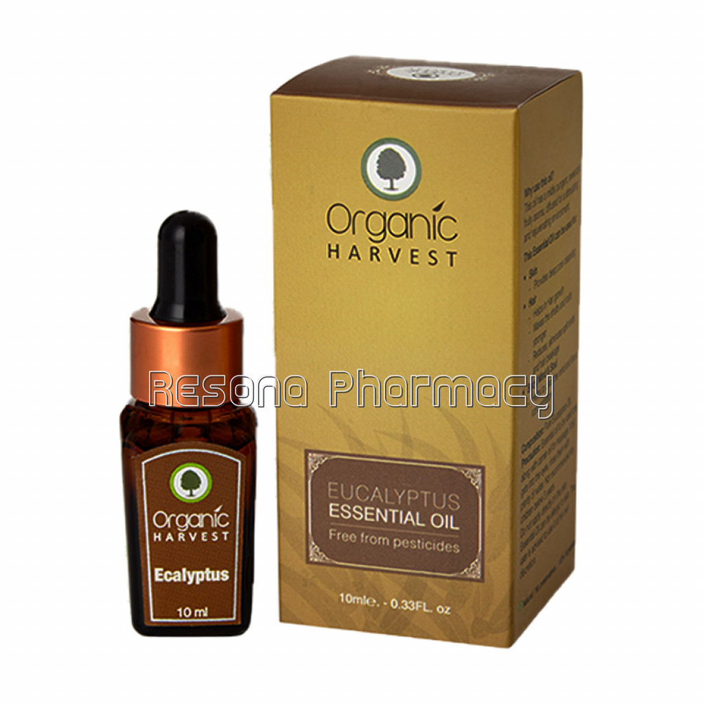 Organic Harvest Eucalyptus Essential Oil