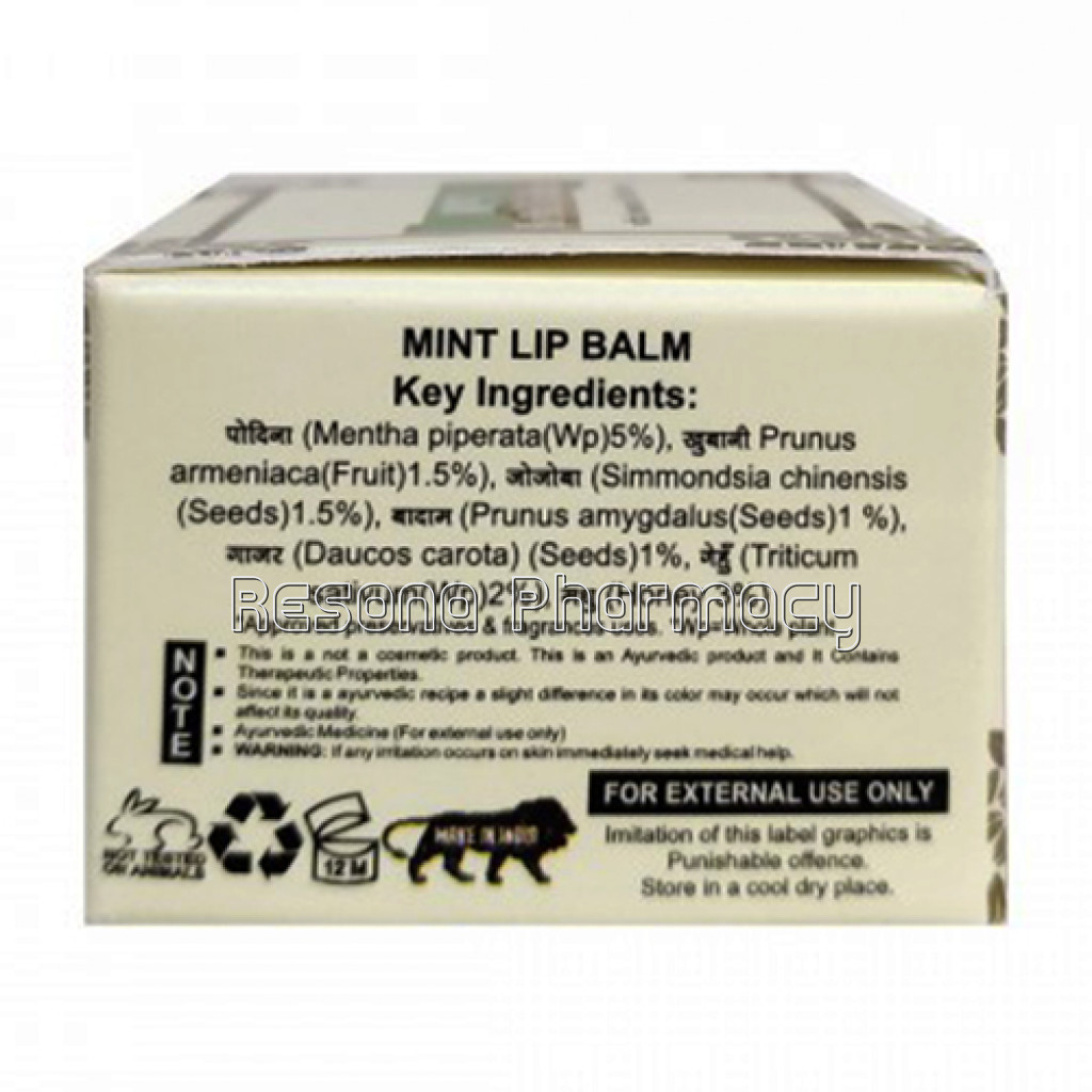 Khadi Pure Herbal Mint Lip Balm   10G