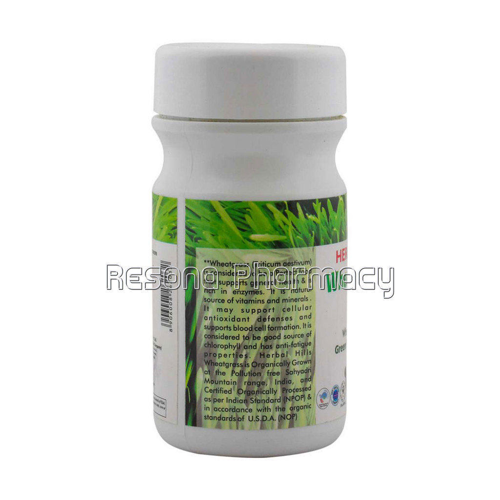 Wheatgrass Powder 100 Gms – Organic Green Food Powder