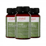 Jiva Giloy Capsule (Pack Of 3)