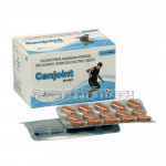 Canjoint