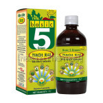Basic Ayurveda Basic 5 Greens Panch Ras 1 Ltr