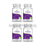 Tribulus Gokshura Gokhura Pure Extract   Boosts Testosterone   500 Mg (60 Vegetarian Tablets) Pack Of 4