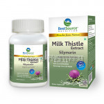 Silymarin Milk Thistle Supplement