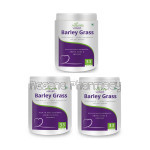 Barley Grass Powder 100 Gms Pack Of 3