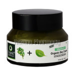 Organic Day Cream – Vitamin B
