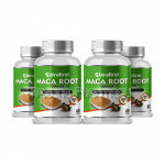 Nutrafirst Maca Root 500Mg For Endurance And Energy – 60 Capsules (Pack Of 4)