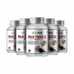 Nutrafirst Milk Thistle (Silymarin) Extract 500Mg For Fatty Liver – 60 Capsules (Pack Of 5)