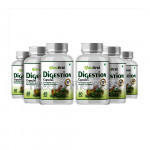 Nutrafirst Digestion Capsules 500Mg For Acidity And Constipation – 60 Capsules (Pack Of 6)