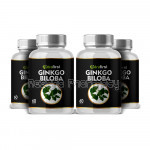 Ginkgo Biloba Capsules 500Mg For Sharp Memory – 60 Capsules (Pack Of 4)