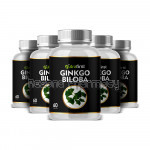 Ginkgo Biloba Capsules 500Mg For Sharp Memory – 60 Capsules (Pack Of 5)