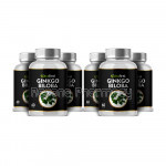 Ginkgo Biloba Capsules 500Mg For Sharp Memory – 60 Capsules (Pack Of 6)