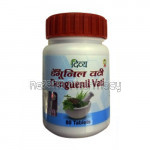 Divya Denguenil Vati   80 Tabs 67 Gm