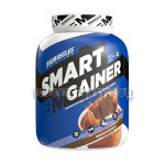 Smart Gainer Malt Chocolate Flavour 6 Lbs